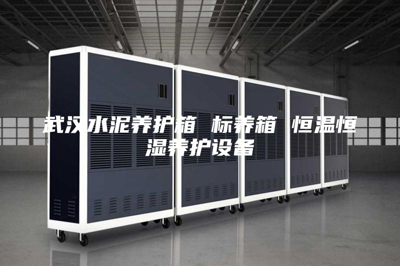 武汉水泥养护箱 标养箱 恒温恒湿养护设备