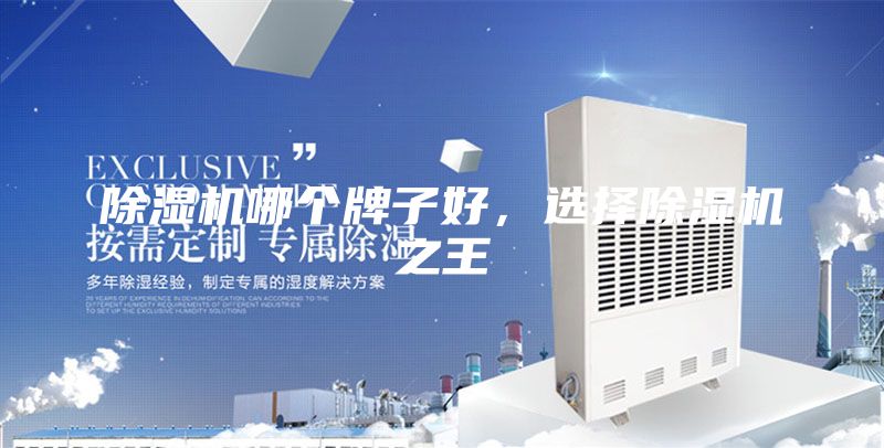 除湿机哪个牌子好，选择除湿机之王