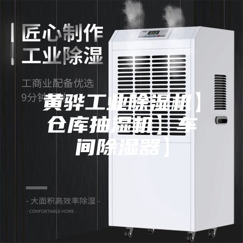 黄骅工业除湿机】仓库抽湿机】车间除湿器】