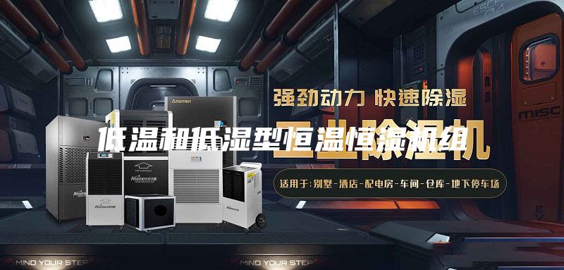 低温和低湿型恒温恒湿机组
