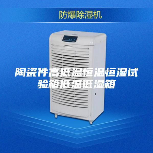 陶瓷件高低温恒温恒湿试验箱低温低湿箱