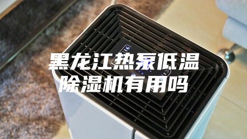 黑龙江热泵低温除湿机有用吗
