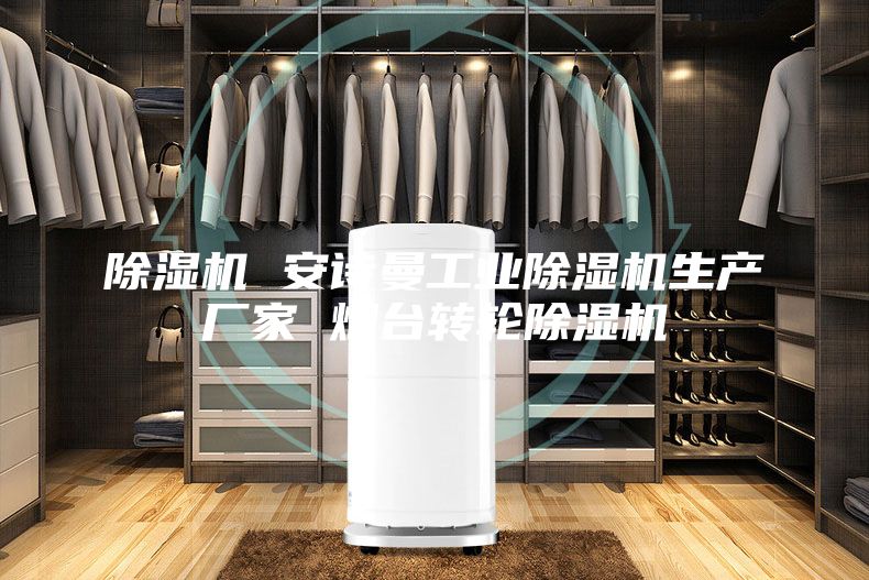 除湿机 安诗曼工业除湿机生产厂家 烟台转轮除湿机