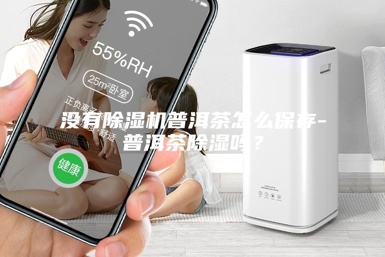 没有除湿机普洱茶怎么保存-普洱茶除湿吗？