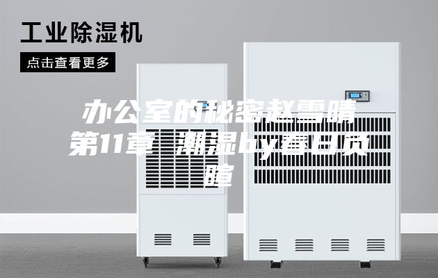 办公室的秘密赵雪晴第11章 潮湿by春日负暄