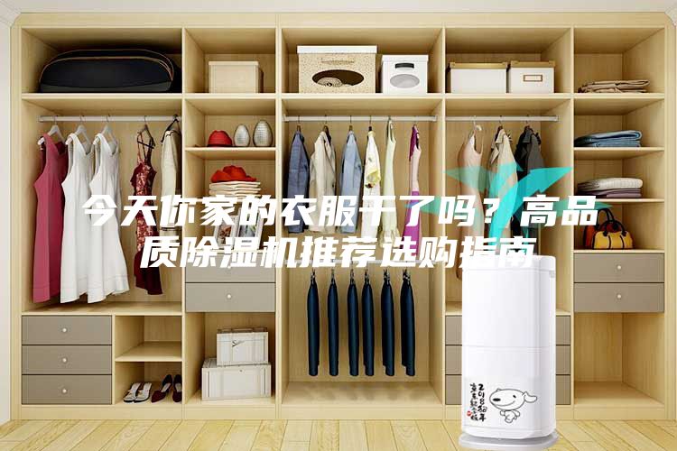今天你家的衣服干了吗？高品质除湿机推荐选购指南