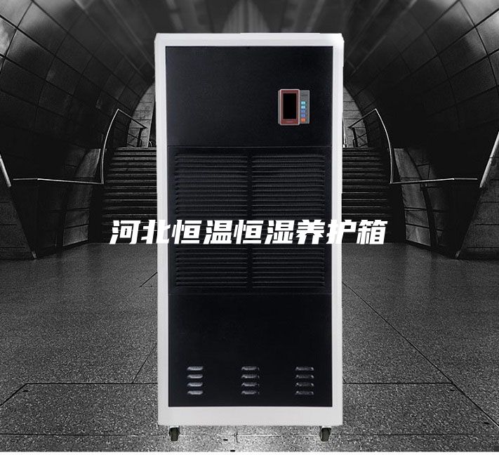 河北恒温恒湿养护箱
