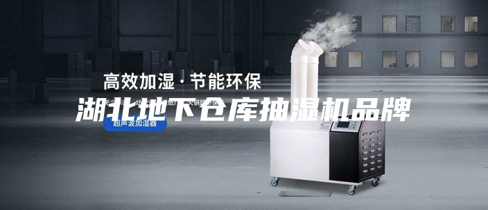 湖北地下仓库抽湿机品牌