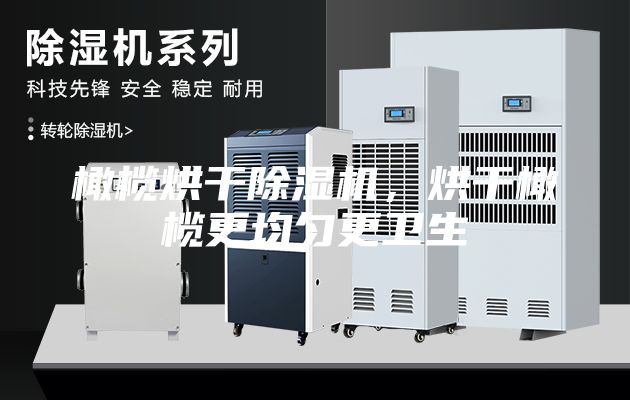 橄榄烘干除湿机，烘干橄榄更均匀更卫生