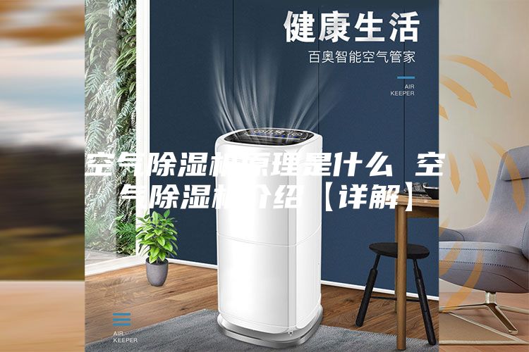空气除湿机原理是什么 空气除湿机介绍【详解】