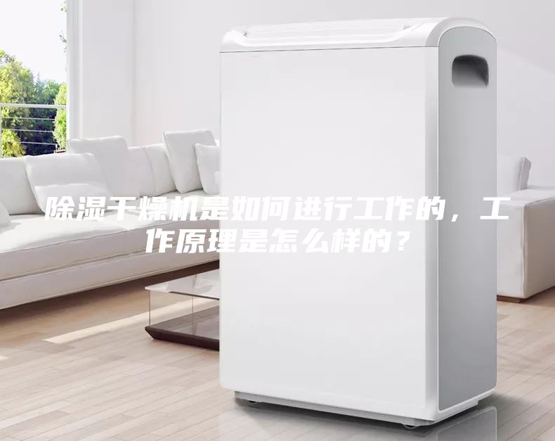除湿干燥机是如何进行工作的,工作原理是怎么样的?
