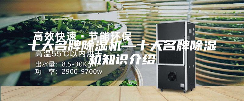 十大名牌除湿机—十大名牌除湿机知识介绍