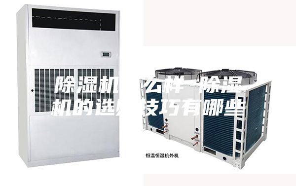 除湿机怎么样 除湿机的选购技巧有哪些