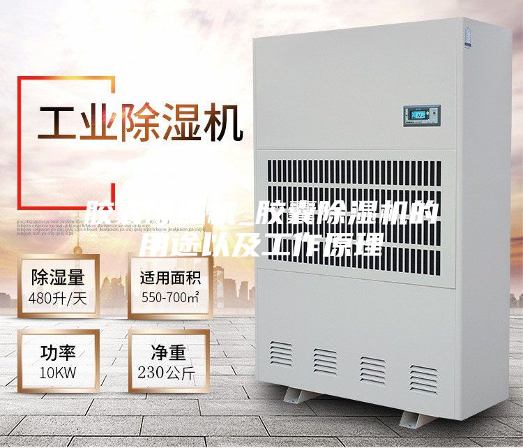 胶囊除湿机_胶囊除湿机的用途以及工作原理