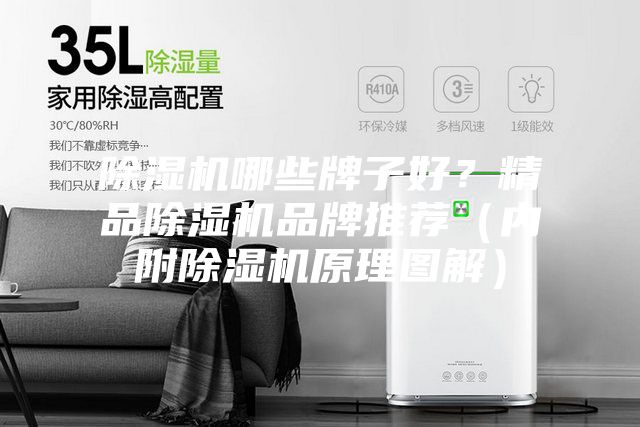 除湿机哪些牌子好？精品除湿机品牌推荐（内附除湿机原理图解）