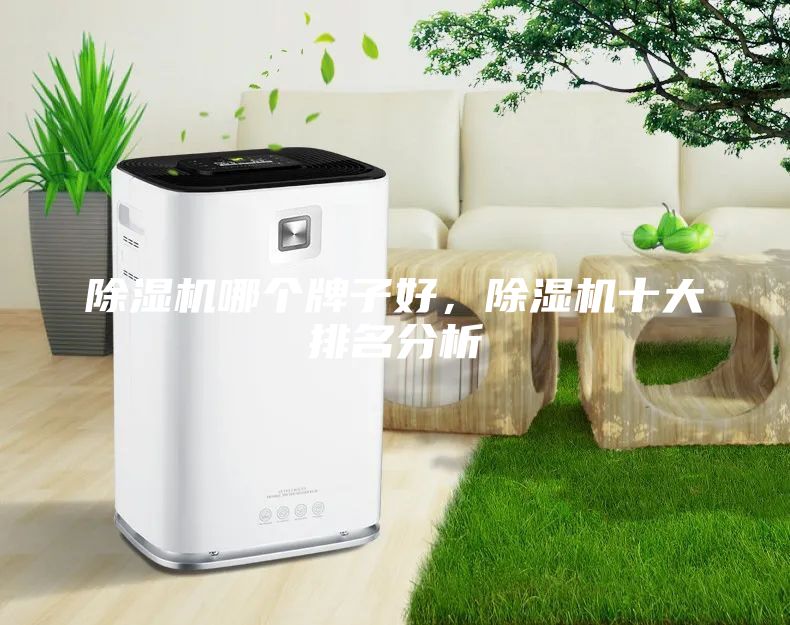 除湿机哪个牌子好，除湿机十大排名分析