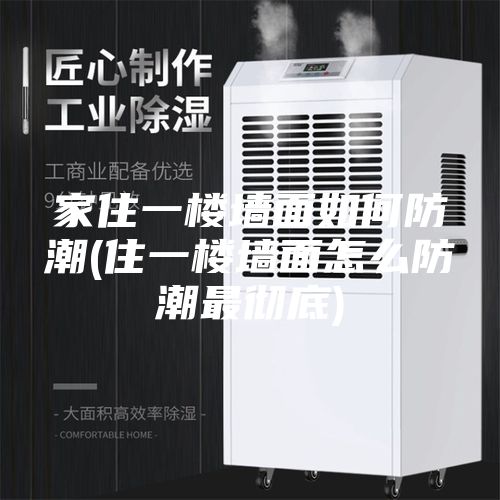 家住一楼墙面如何防潮(住一楼墙面怎么防潮最彻底)
