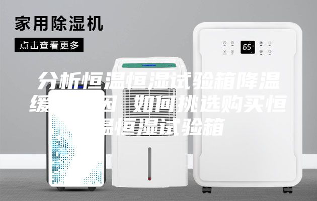 分析恒温恒湿试验箱降温缓慢原因 如何挑选购买恒温恒湿试验箱