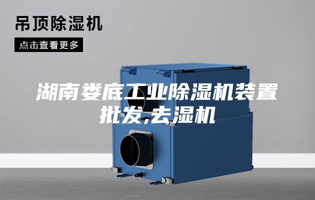 湖南娄底工业除湿机装置批发,去湿机