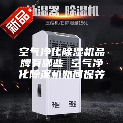 空气净化除湿机品牌有哪些 空气净化除湿机如何保养