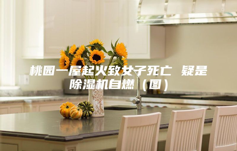 桃园一屋起火致女子死亡 疑是除湿机自燃（图）