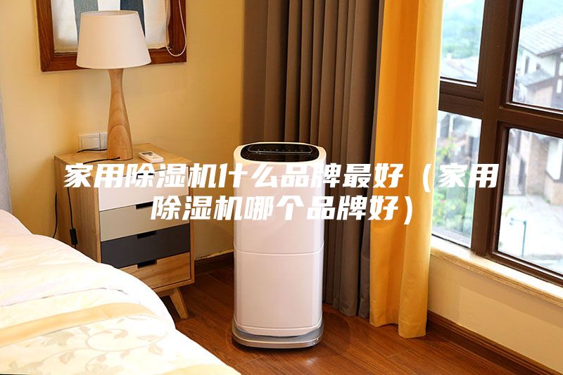 家用除湿机什么品牌最好（家用除湿机哪个品牌好）