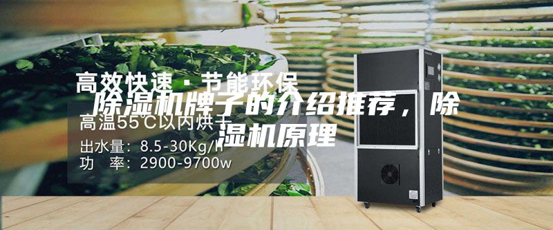 除湿机牌子的介绍推荐，除湿机原理