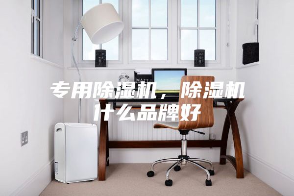 专用除湿机，除湿机什么品牌好