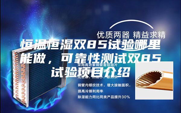 恒温恒湿双85试验哪里能做，可靠性测试双85试验项目介绍