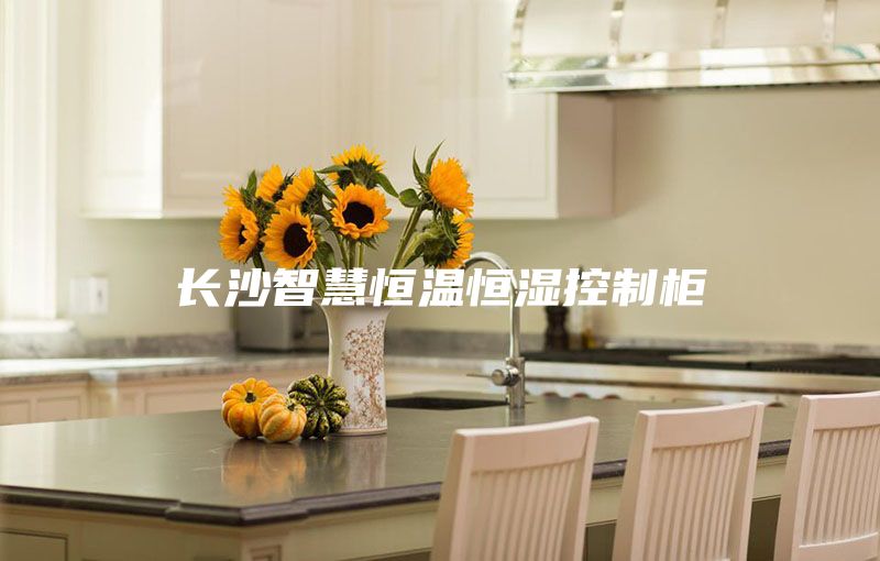长沙智慧恒温恒湿控制柜