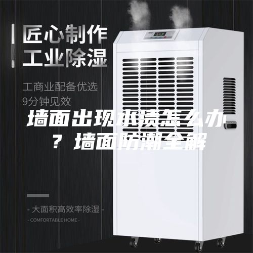 墙面出现水渍怎么办？墙面防潮全解