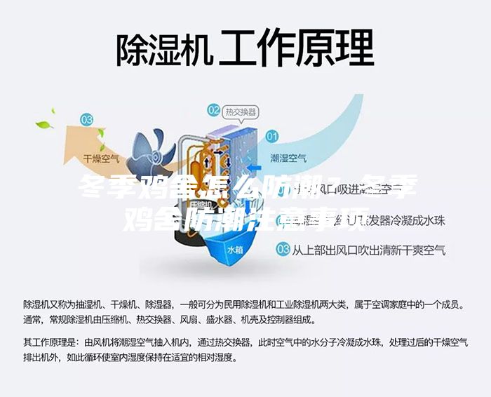 冬季鸡舍怎么防潮？冬季鸡舍防潮注意事项