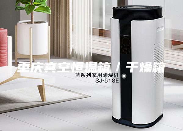 重庆真空恒温箱／干燥箱