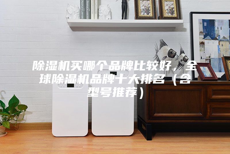 除湿机买哪个品牌比较好，全球除湿机品牌十大排名（含型号推荐）