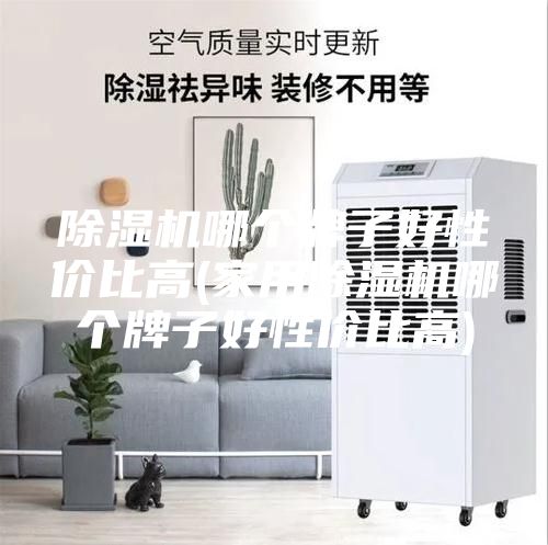 除湿机哪个牌子好性价比高(家用除湿机哪个牌子好性价比高)