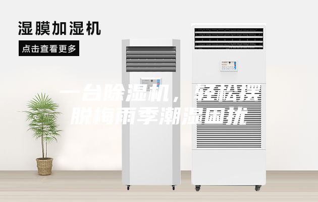 一台除湿机，轻松摆脱梅雨季潮湿困扰