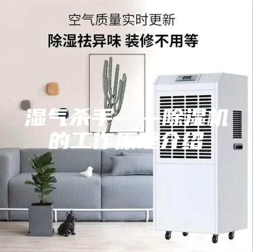 湿气杀手——除湿机的工作原理介绍