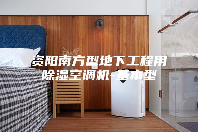 资阳南方型地下工程用除湿空调机-基本型