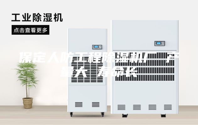 保定人防工程除湿机厂 产量大 寿命长