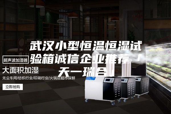 武汉小型恒温恒湿试验箱诚信企业推荐「天一瑞合」