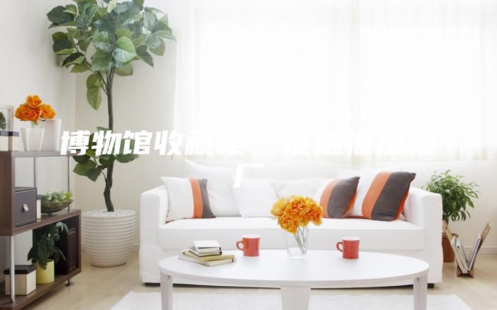 博物馆收藏柜，恒温恒湿柜厂