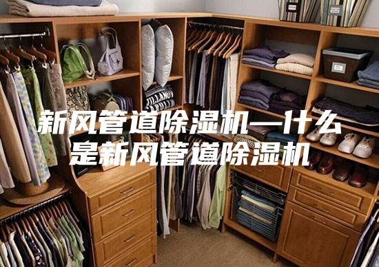 新风管道除湿机—什么是新风管道除湿机