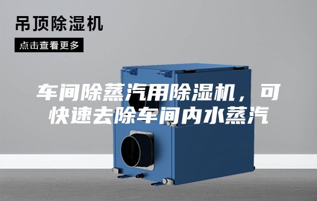 车间除蒸汽用除湿机，可快速去除车间内水蒸汽