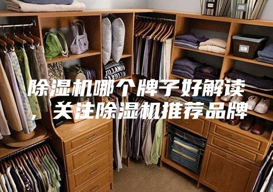 除湿机哪个牌子好解读，关注除湿机推荐品牌