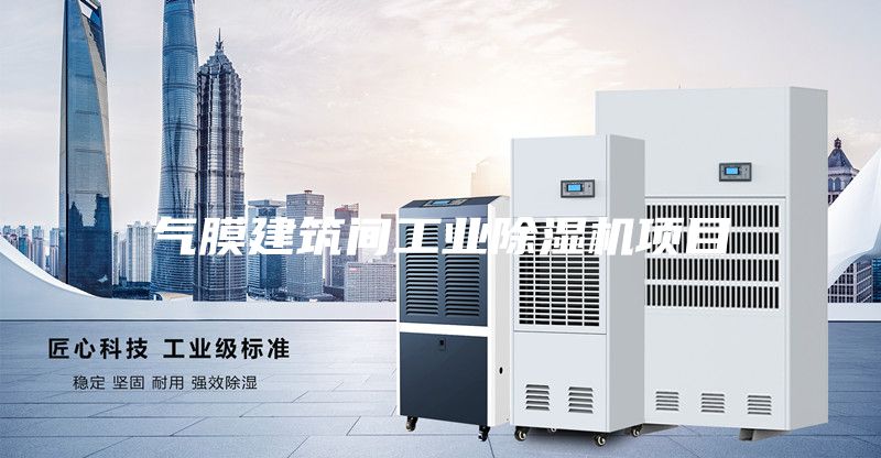 气膜建筑间工业除湿机项目