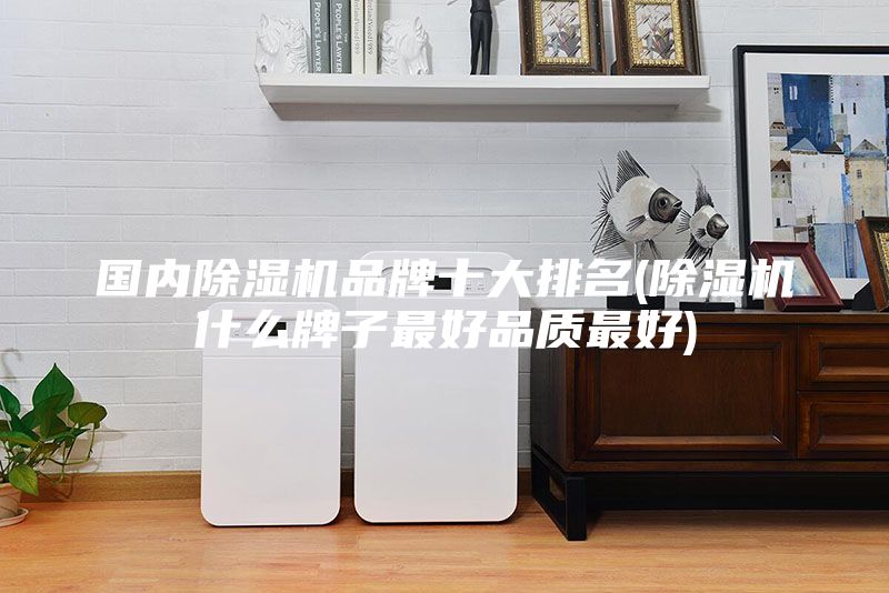 国内除湿机品牌十大排名(除湿机什么牌子最好品质最好)
