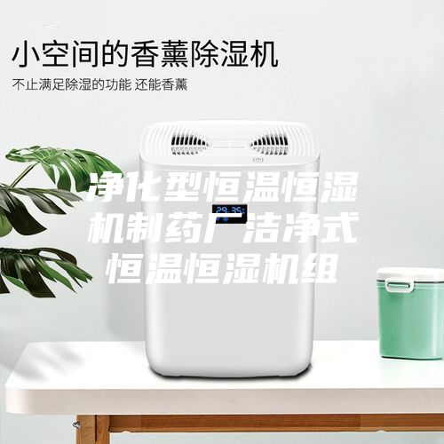 净化型恒温恒湿机制药厂洁净式恒温恒湿机组