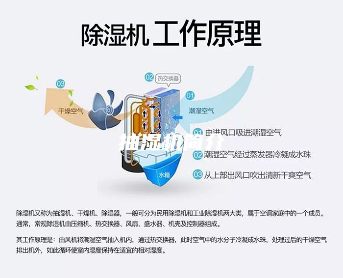 抽湿机简介