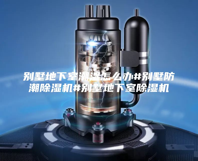 别墅地下室潮湿怎么办#别墅防潮除湿机#别墅地下室除湿机