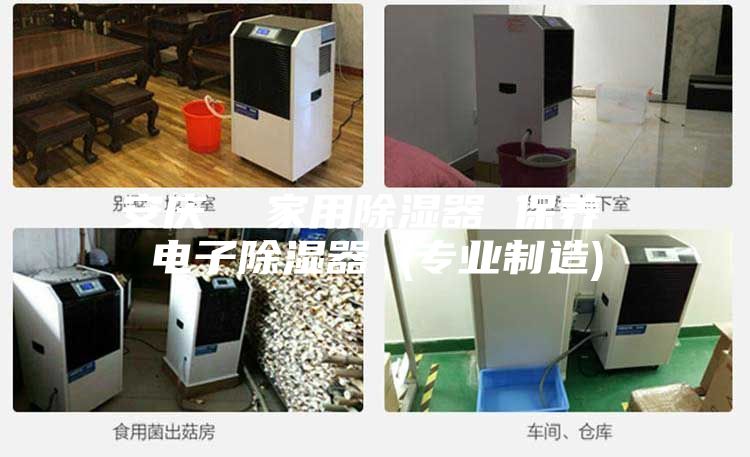 安庆  家用除湿器 保养 电子除湿器 (专业制造)